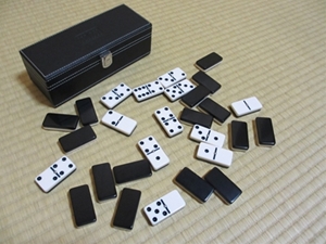 色々な牌の画像 2 ドミノゲームの遊び方 ルールと戦術